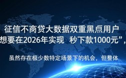 双黑秒下款1000的口子2026是真的吗，黑户哪里能借到钱？