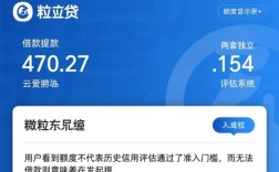 微粒贷有额度为什么借不出来