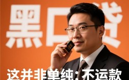 现在高炮黑口子都不下款，2026最新能下款的口子有哪些？