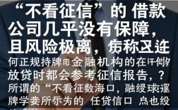 海口借款公司不看征信有保障吗，海口不看征信贷款正规吗