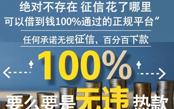 征信花了哪里可以借到钱，100%通过的正规平台有哪些？
