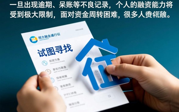 征信黑了能贷款吗，不看征信的口子有哪些？