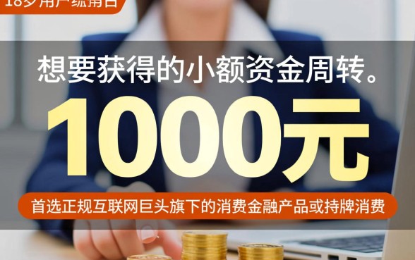 小额贷款1000元秒下款有哪些，18周岁能申请吗？