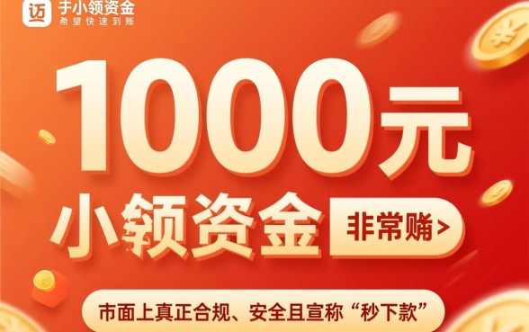 小额贷款1000元秒下款无视黑白有哪些，不查征信哪里借？