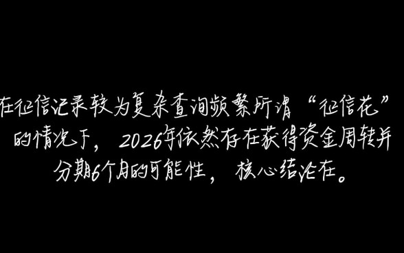 2026征信花怎么贷款，征信花还能下款的口子分期6个月