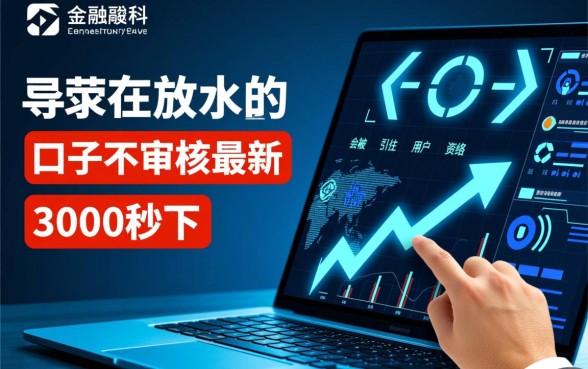 正在放水的口子不审核吗？3000秒下款靠谱吗？