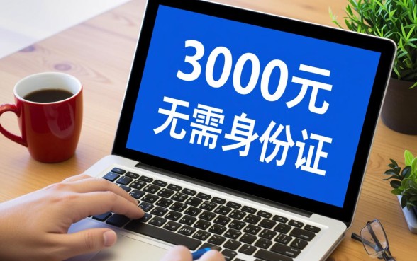 什么软件不用身份证可以借到3000元，不用身份证贷款哪里借