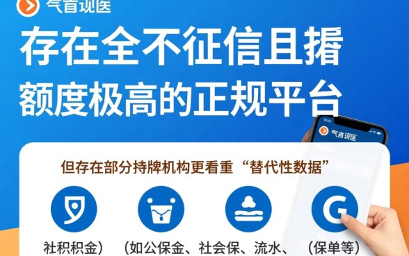 哪个借款平台不看征信容易通过，额度高怎么下款？