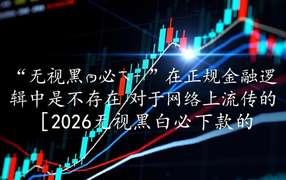 2026无视黑白必下款的新口子是什么，真的不用审核吗