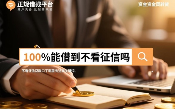 正规借钱平台100%能借到不看征信吗，不看征信贷款口子哪里有