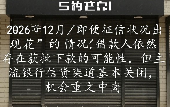 2026年12月征信花还能下款吗，征信花哪里有必下款口子？