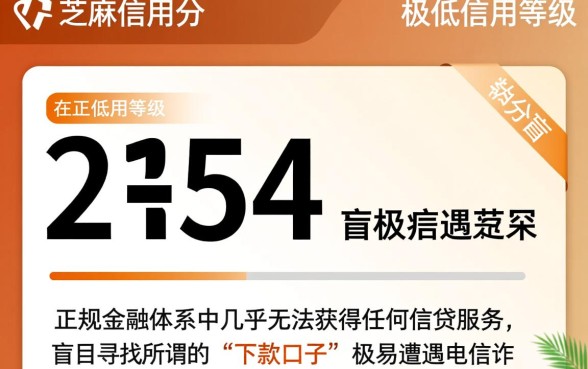 芝麻分能下的口子有哪些，芝麻分600能下款的平台