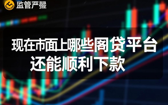 现在市面上哪些网贷平台还能顺利下款，哪个平台容易通过？