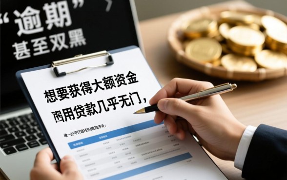 征信黑了怎么贷款，双黑有逾期必过的大额口子有哪些