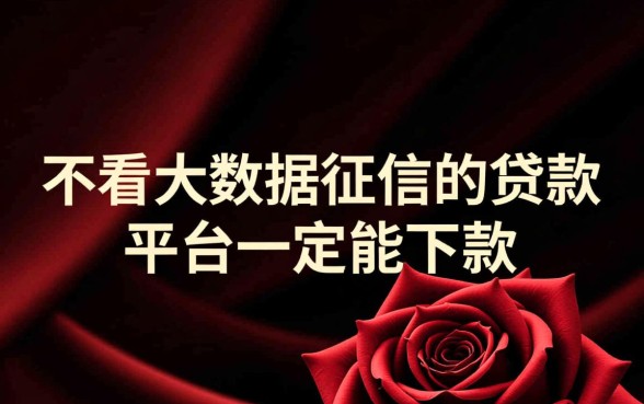 不看大数据征信的贷款平台一定能下款吗，真的容易通过吗