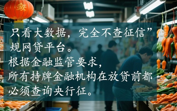 只看大数据不查征信的网贷有哪些平台，2026不看征信容易通过吗