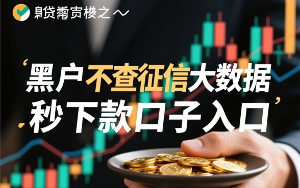 黑户不查征信能下款吗，黑户秒下款口子入口在哪里