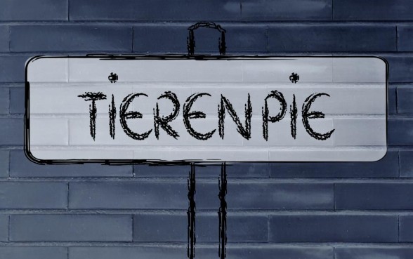 用营业执照贷款的平台哪个比较好通过，怎么申请容易下款？