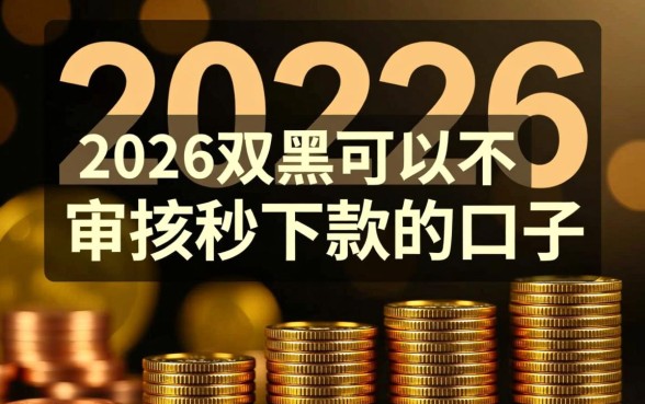 2026双黑可以不审核秒下款的口子有哪些？2026双黑口子怎么申请？
