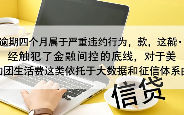 美团生活费逾期四个月能下款吗，逾期了还能再借吗