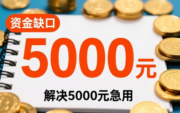 急用钱私人借钱5000哪里借，岁数没限制能借吗？