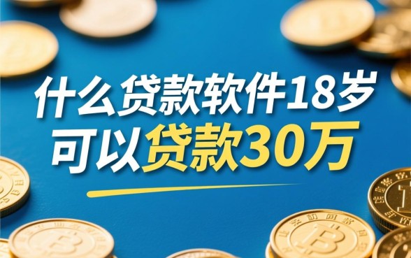 什么贷款软件18岁可以贷款30万，18岁怎么借30万