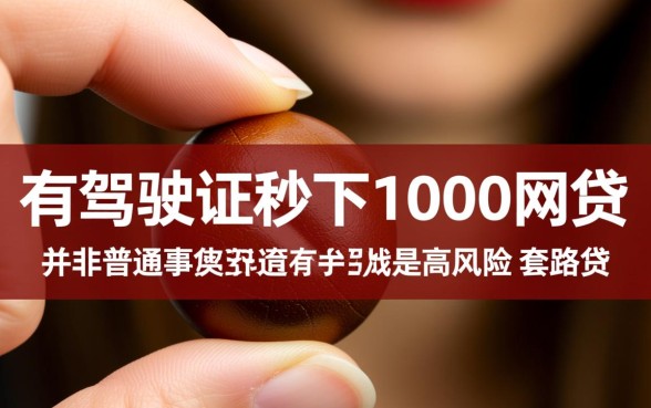 有驾驶证秒下1000网贷是真的吗，凭驾驶证借钱安全吗