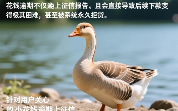 小鹅花钱逾期上征信报告吗能下款吗，逾期了还能再借吗