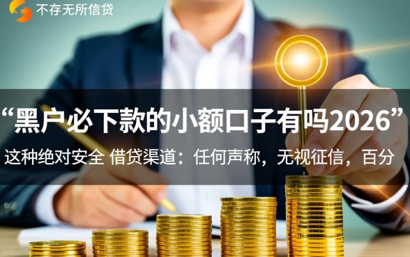 黑户必下款的小额口子有吗2026，黑户哪里能借到钱？