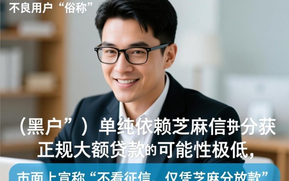 黑户芝麻分大额贷款app有哪些，黑户怎么下款？