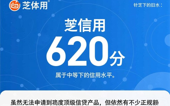 芝麻信用620可以去哪里借钱呢，哪个网贷平台容易下款？