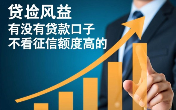 有没有不看征信的贷款口子，哪里可以借到高额度？