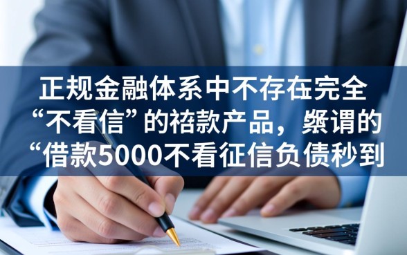 借款5000不看征信能下款吗，哪里有秒到账的口子