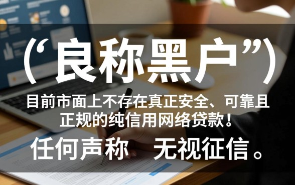 黑户哪个网络贷款最安全可靠正规，黑户贷款哪个平台容易下款？