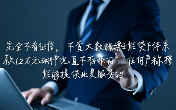 不看征信大数据贷款借12万真的吗，哪里能申请秒下款