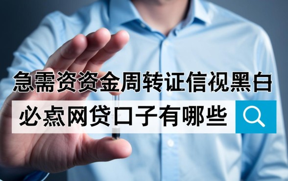 无视黑白必下款的网贷口子有哪些，2026最新不用审核的有哪些