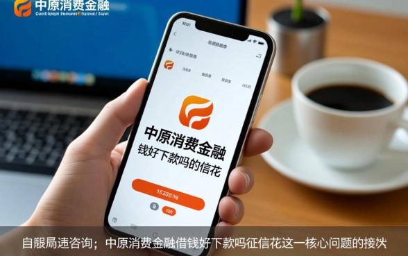 中原消费金融借钱好下款吗，征信花能申请通过吗