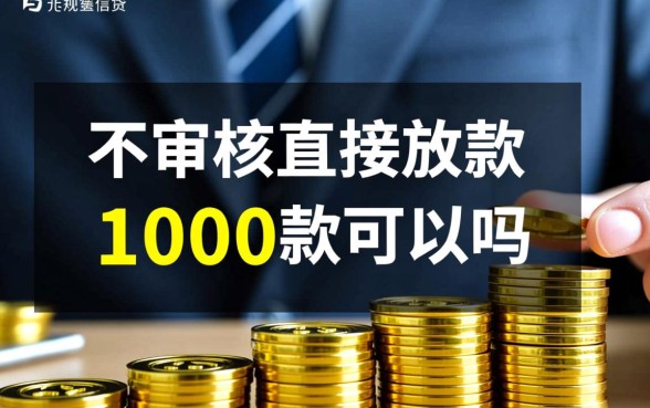 不审核直接放款1000款可以吗，真的能下款吗