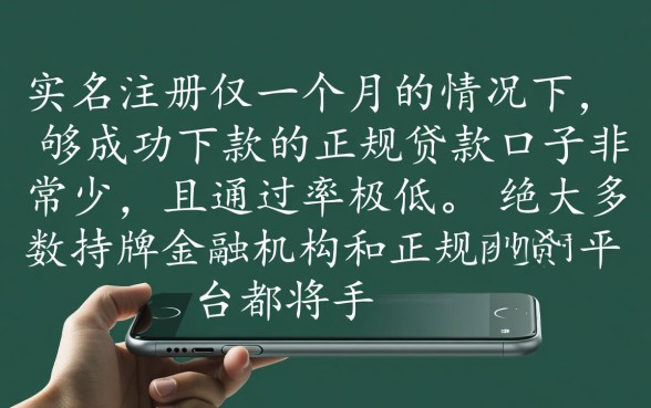 手机实名一个月能下款的口子有吗，手机实名多久能下款