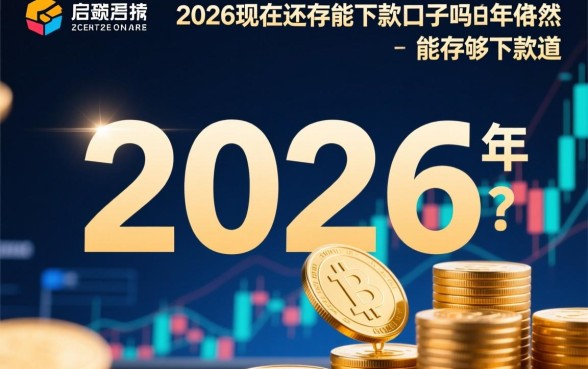 2026现在还有能下款的口子吗，2026年有哪些靠谱口子