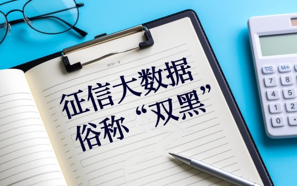 2026双黑能下的分期大额口子有哪些，哪里申请容易通过？
