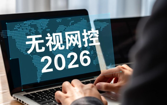 2026无视风控稳下的分期口子是真的吗，有哪些容易下款的