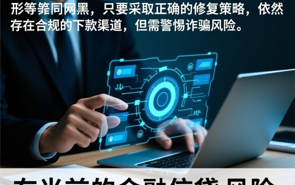 大数据花了还是网黑能下款吗，哪里有秒下款的口子