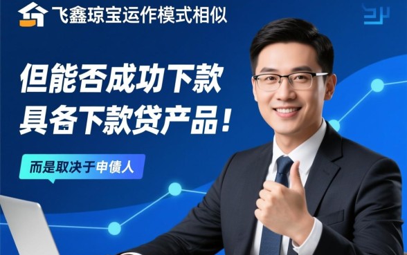 和飞鑫琼宝类似的能下款的口子吗，有哪些容易通过的下款口子