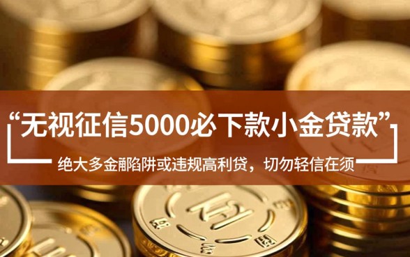 无视征信5000必下款小额贷款是真的吗，怎么申请秒到账？