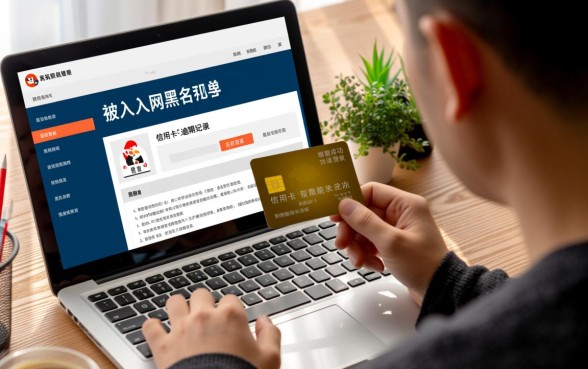 网黑预期信用卡逾期能下款吗，2026有哪些不查征信的口子？