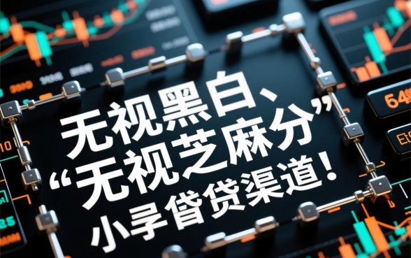 无视黑白芝麻分小额网贷口子有哪些，2026最新不用审核秒下款