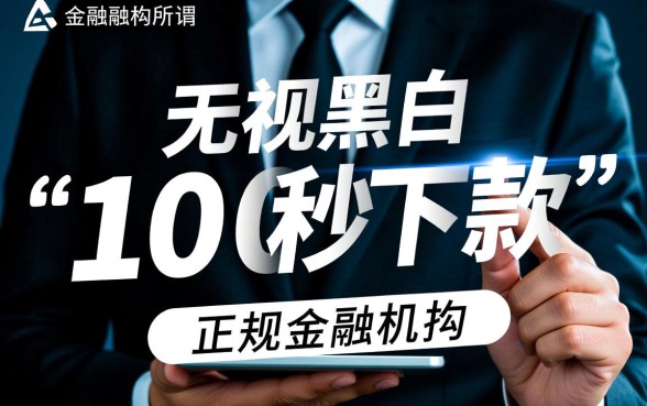 无视黑白100秒下有哪些新口子，2026不看征信秒批口子有哪些