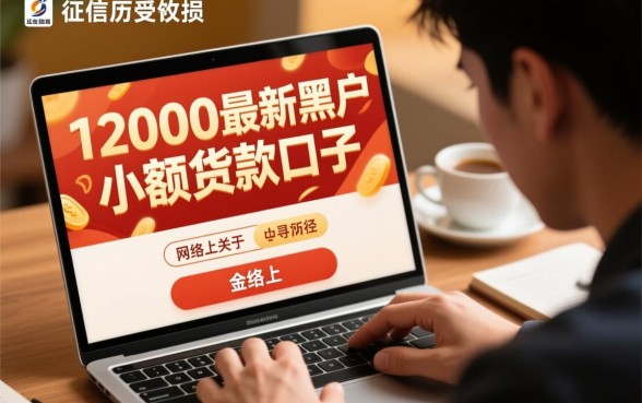 12000最新黑户小额贷款口子哪里有，黑户怎么申请秒下款？