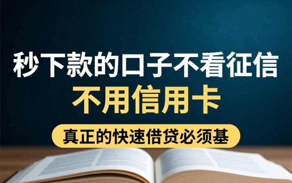 秒下款不看征信口子有哪些？不用信用卡怎么申请？